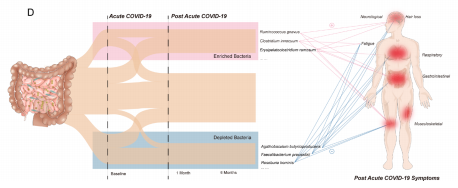 Gut：急性COVID-19综合征患者肠道微生物群的<font color="red">动态</font>变化