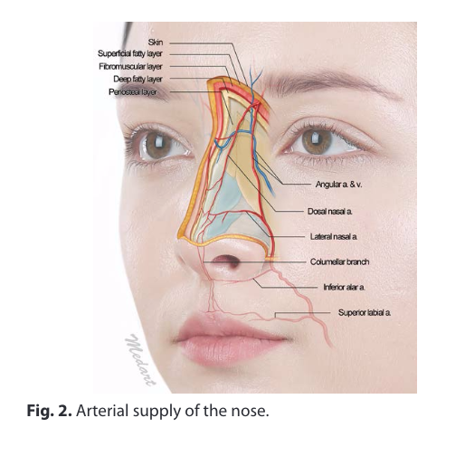 关于在亚洲患者中使用基于透明质酸的填充剂进行非手术隆鼻的共识建议