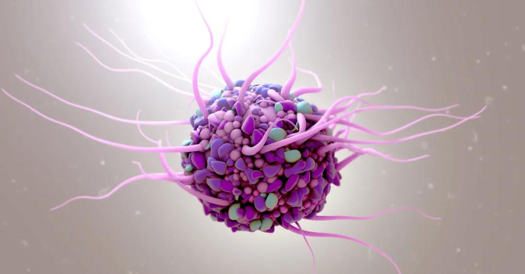 Molecular Cancer：基于工程化外泌体的原位树突状细胞肿瘤疫苗，用于乳腺癌治疗
