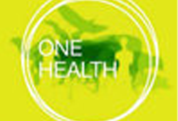 期刊推荐：ONE <font color="red">HEALTH</font>-AMSTERDAM