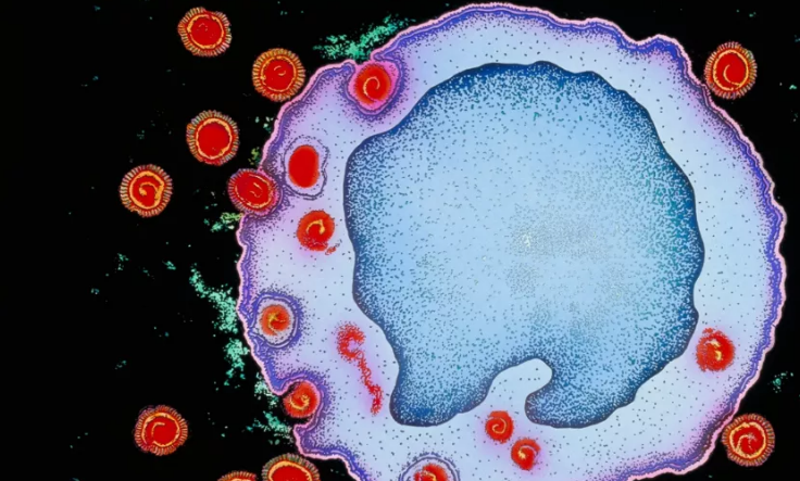 Science：HIV变异毒株已出现，毒力更强、更具<font color="red">传染性</font>...