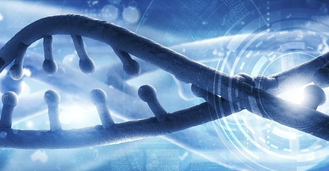 FDA发布人类基因编辑疗法指导文件，至少临床随访15年，以监测潜在风险