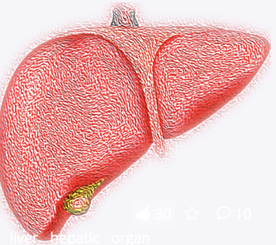<font color="red">Mol</font> Cell：朱健课题组揭示必需氨基酸抵御脂肪肝病的作用机制