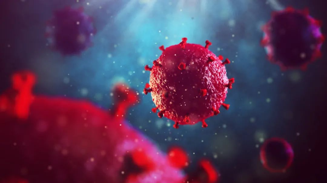 Cell：解析<font color="red">HIV</font>病毒最新画像，推动艾滋病疫苗研发