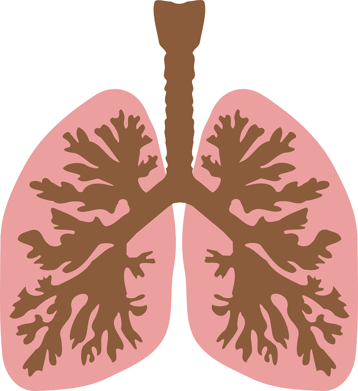 Lancet子刊：小气道疾病与哮喘结局显著相关，ATLANTIS前瞻性队列研究数据给出答案