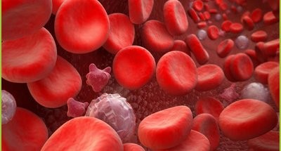 FDA对Rebrozyl治疗非输血依赖型（NTD）β 地中海贫血持审慎意见