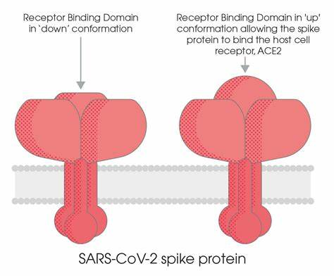 Sci Rep：抗SARS-CoV-2抗体水平预测新冠肺炎合并2型糖尿病患者的预后