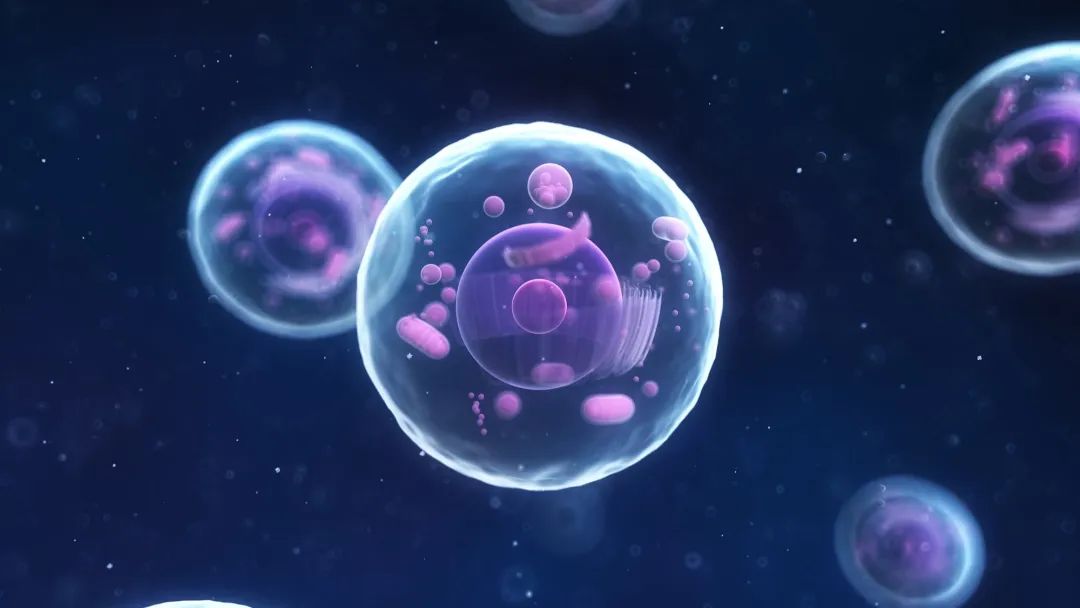 Cell：研究发现通过交换细胞间代谢物，可延长双方寿命