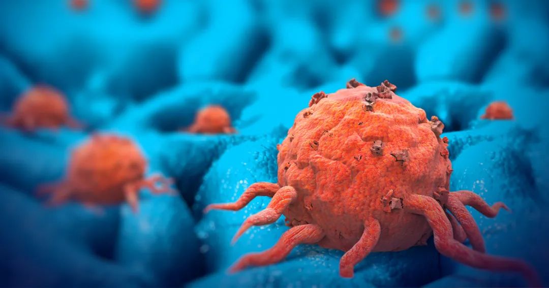 Nature Nanotechnology：麻省理工开发多药物纳米颗粒<font color="red">平台</font>，改善抗癌药物递送
