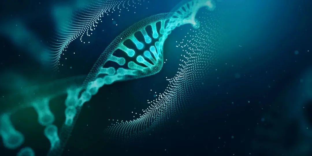 Nature发表最新人类细胞类型DNA甲基化图谱，发现不同个体相同细胞类型的甲基化模式极其相似