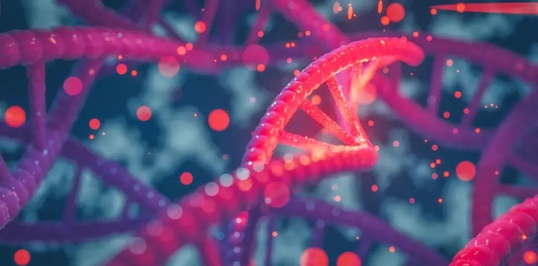 Briefings in Bioinformatics：为肿瘤精准诊断预测提供全新标志物体系，上科大刘雪松团队揭示新型肿瘤基因组DNA拷贝数变异模式
