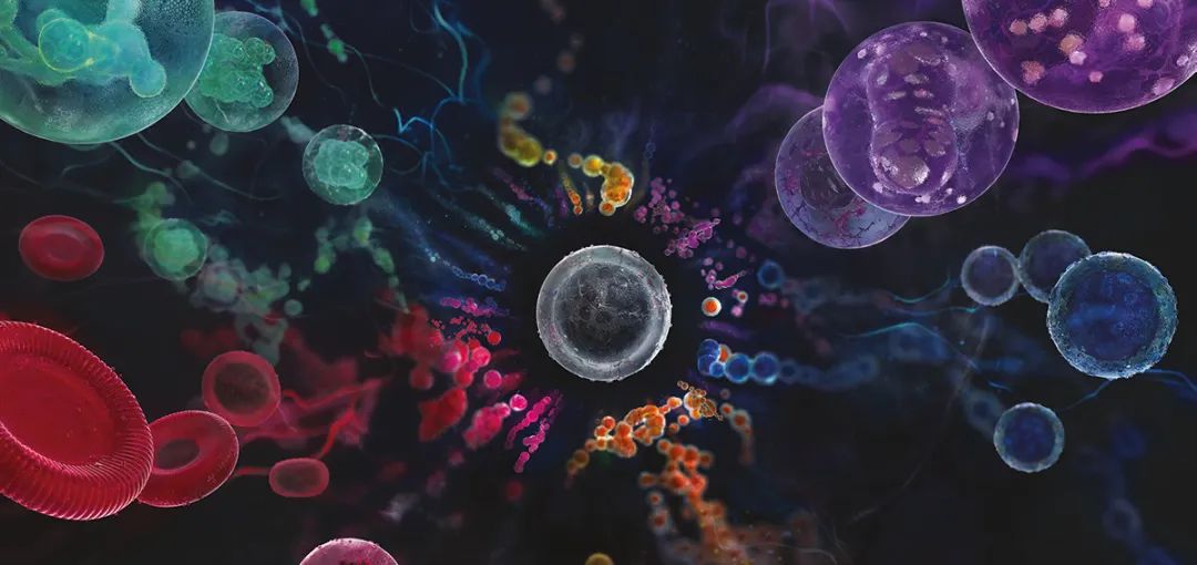 Trends in Biotechnology：浙大张进团队综述用于免疫治疗的iPSC来源的工程化免疫细胞