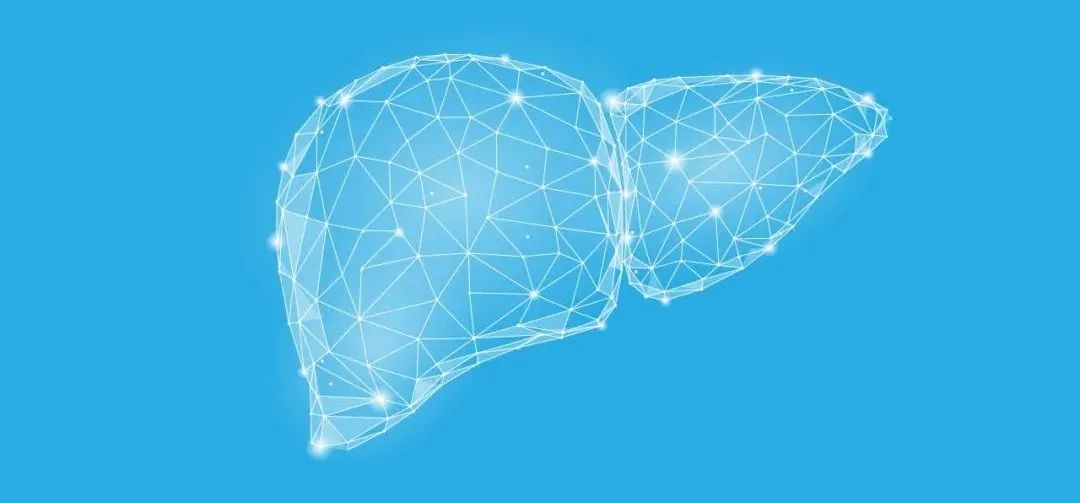 Nature Communications：丁秋蓉团队发现肝脏再生过程中肝脏脂质动态变化信号转变为再生修复信号的关键“桥梁”因子
