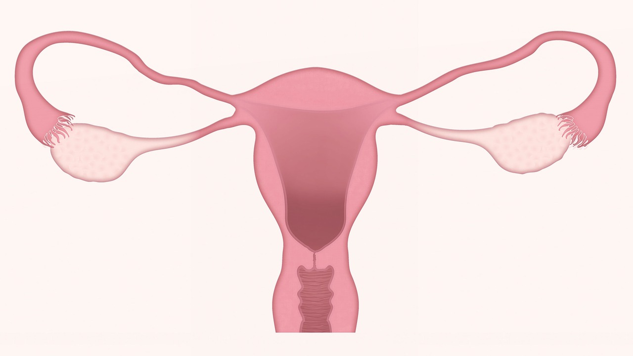 与全腹子宫切除术相比，手术时间较长的全<font color="red">腹腔</font>镜子宫切除术是否与获益降低有关？