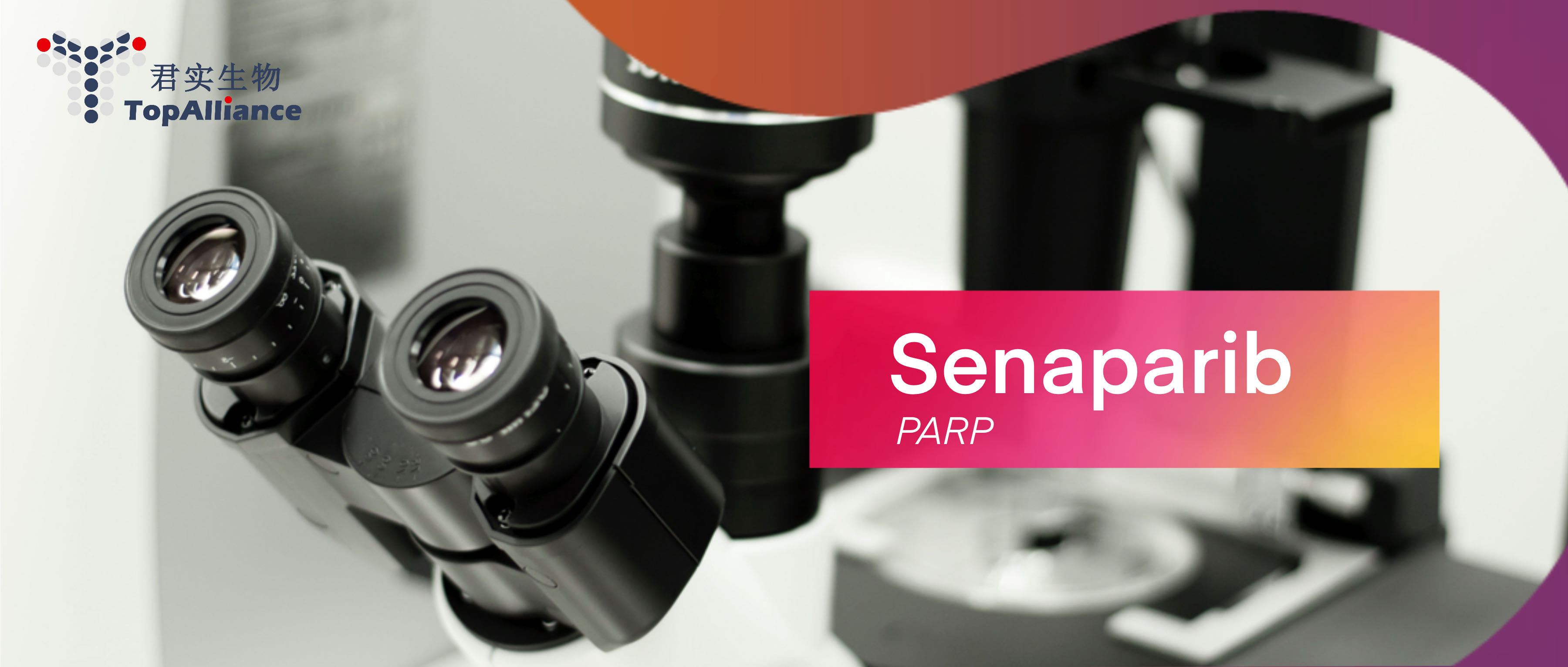 君实生物PARP抑制剂senaparib用于晚期卵巢癌全人群一线维持治疗的III期临床研究达到主要研究终点