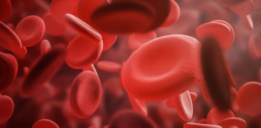 Cell：北京大学高宁/李宁宁团队揭示血<font color="red">红细胞</font>Spectrin-Actin膜骨架系统的组织规则<font color="red">及</font>结构稳定性的分子基础