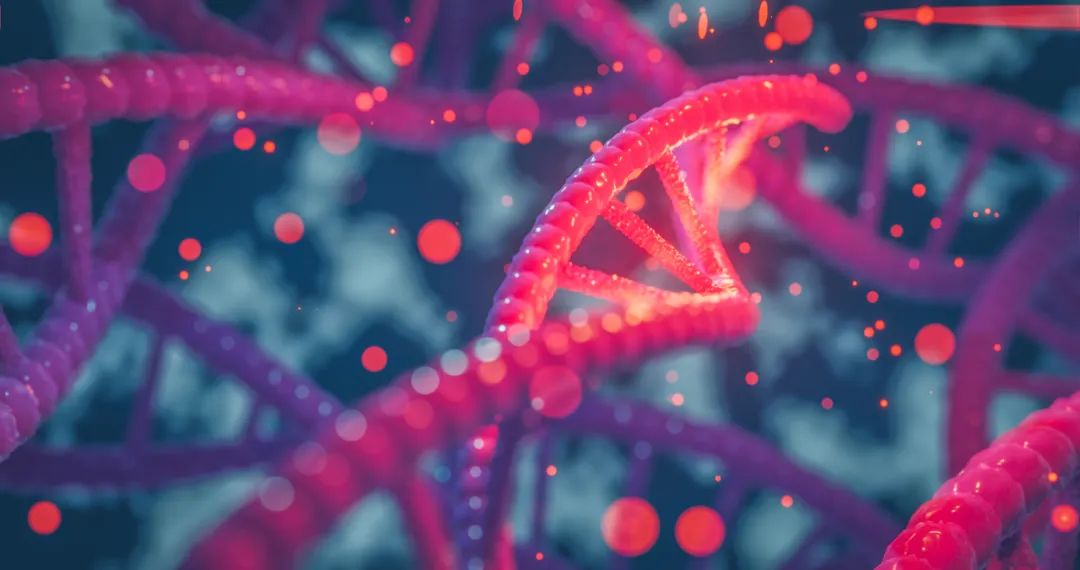 Nature：阐明人类mRNA解码机制，为癌症、感染新药研发打开新大门