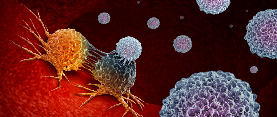 <font color="red">Journal</font> of Clinical Oncology：预测免疫检查点抑制剂对具有可操作基因突变的非小细胞肺癌患者疗效的生物标志物