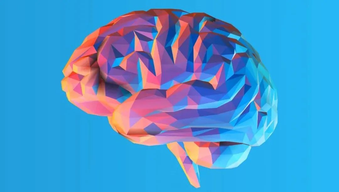 eLife：段小洁/梁智锋团队揭示脑深部电刺激快速抗抑郁治疗及机理