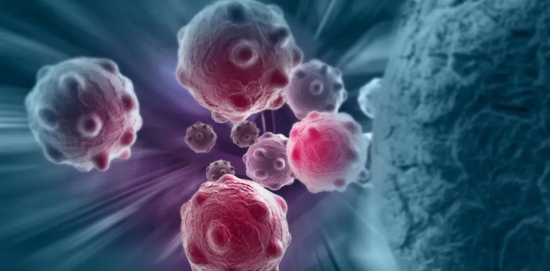 Nature：为何癌症免疫疗法副作用频出？最新研究发现PD-1全新作用