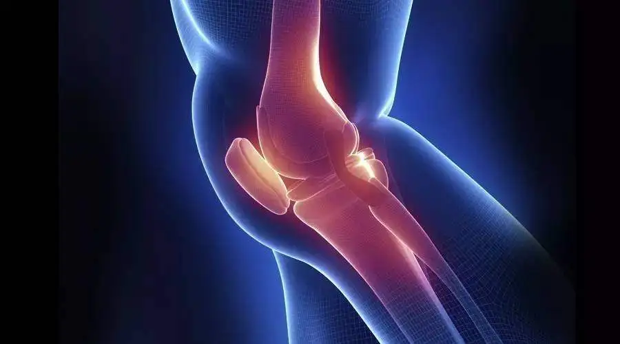Investigative Radiology:深度学习，实现膝关节MRI的加速又加量！