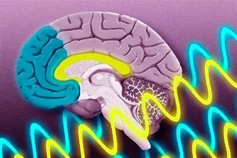 Biological Psychiatry:大脑皮层结构和血液免疫标志物具有共同遗传基础