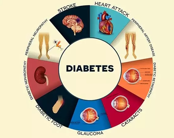 Diab Vasc Dis Res:参与二甲双胍减少血管不良病变试验的成人1型糖尿病患者的心脏代谢危险因素、外周动脉<font color="red">血压计</font>和二甲双胍反应