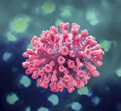 Front Public Health：HIV感染者接受第2剂新冠肺炎强化免疫的意愿研究