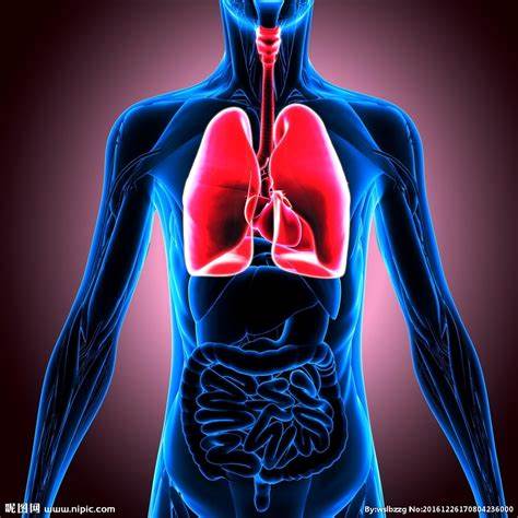 BMC Pulm Med：甲状腺功能减退和肺癌之间的因果关系！