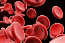 新型血友病治疗药物III期临床数据：相比常规预防治疗和按需治疗，<font color="red">Marstacimab</font> 可使体内不伴抑制物的血友病A及血友病B患者的年化出血率分别降低35%和92%