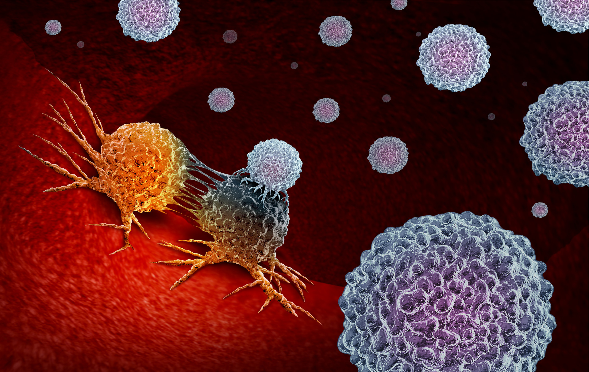 FDA指南：嵌合抗原受体（CAR）T细胞产品开发的注意事项