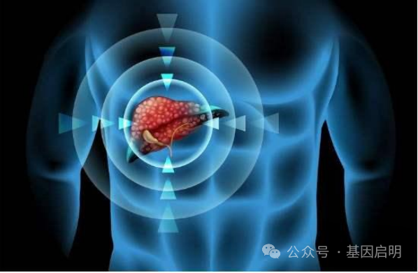 II期临床试验显示，iNKT细胞治疗使肝癌患者<font color="red">治愈</font>率提升5倍
