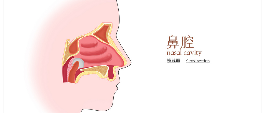 探索人体的告急信号：了解鼻咽癌的症状与防治