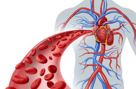 ATVB：分子变化涉及系统性硬化症相关和特发性肺动脉高压的血管生成和动脉重塑