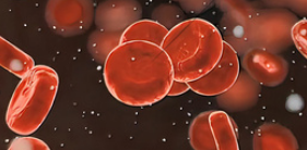 blood综述：免疫豁免部位<font color="red">的</font>原发性大B细胞淋巴瘤