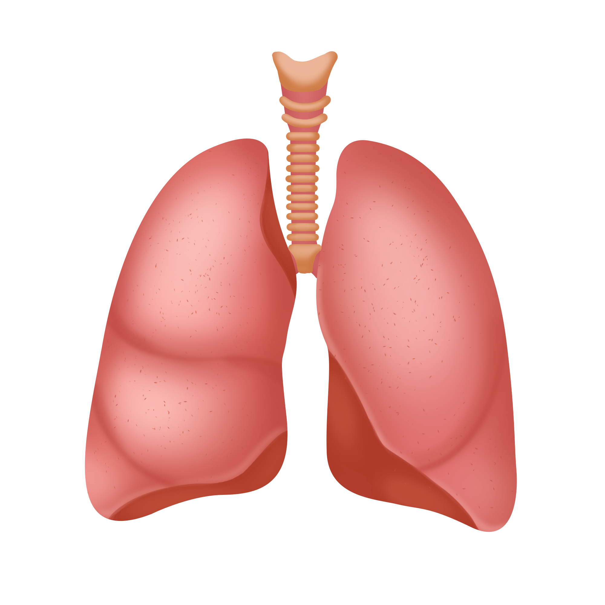 肺通气功能测试产品注册技术审查指导原则