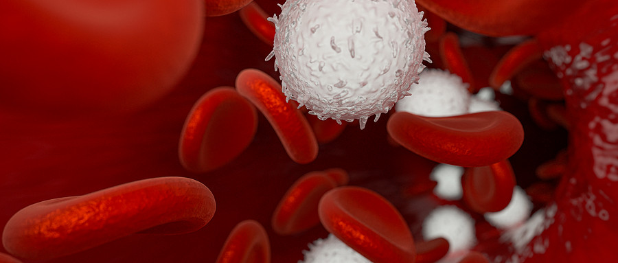 Haematologica：急性髓系白血病首次复发的结局和<font color="red">遗传动力学</font>