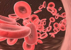 J Hematol Oncol：用于治疗复发或难治性 <font color="red">B</font> <font color="red">细胞</font>恶性肿瘤的现成 CAR-T <font color="red">细胞</font><font color="red">疗法</font>