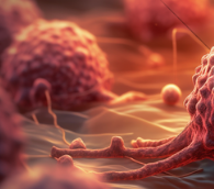 CANCER COMMUN | 卡瑞利珠单抗联合阿帕替尼治疗晚期宫颈癌的长期生存结果及免疫检查点抑制剂再治疗研究