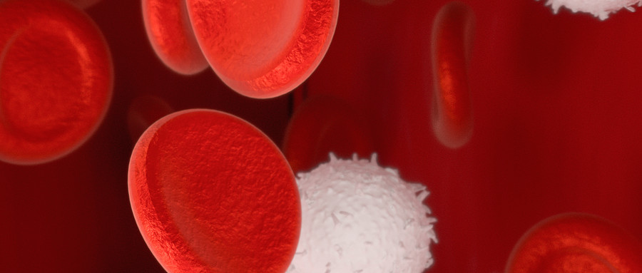 Hematologica：中国CCCG-ALL-2015婴儿<font color="red">急性</font>淋巴细胞白血病疗效报告出炉