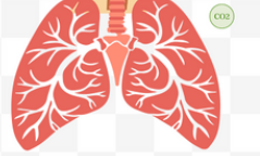 Clin Transl Med：中国学者---慢性阻塞性肺疾病合并肺动脉高压患者的临床风险评估和存活率预测