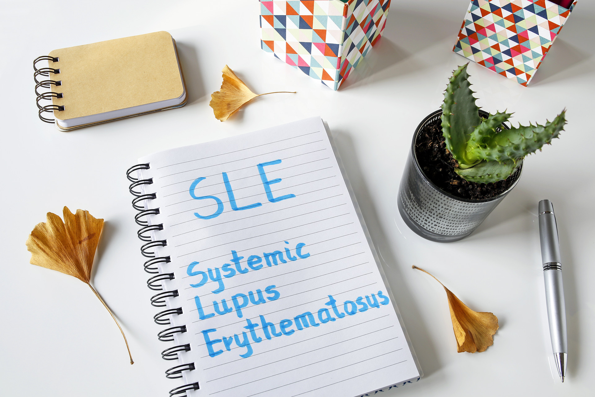 Lupus Sci Med：系统性红斑狼疮患者表型虚弱和握力与端粒长度的关系