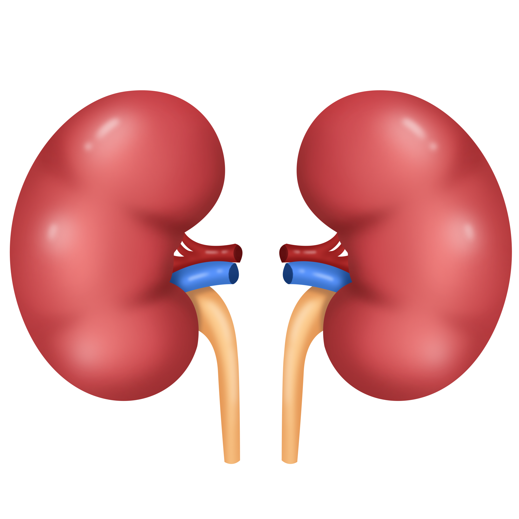 中国肾移植受者结核病临床诊疗指南(2023版)