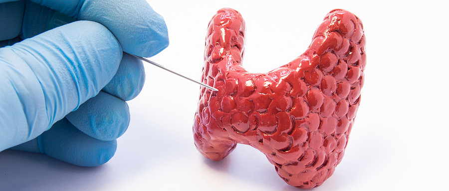 体检报告上出现甲状腺结节如何应对？