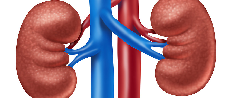 慢性肾脏病早期临床评估指南