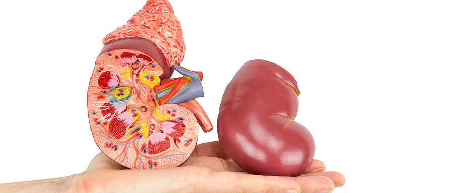 Adv Sci:上海交通大学翟炜/钱昆/王宇宁/郑军华构建用于肾细胞癌诊断的<font color="red">纳米粒子</font><font color="red">增强</font><font color="red">激光解吸</font><font color="red">电离</font><font color="red">质</font><font color="red">谱</font> Adv Sci:上海交通大学翟炜/钱昆/王宇宁/郑军华构建用于肾细胞癌诊断的<font color="red">纳米粒子</font><font color="red">增强</font><font color="red">激光解吸</font><font color="red">电离</font><font color="red">质</font><font color="red">谱</font>