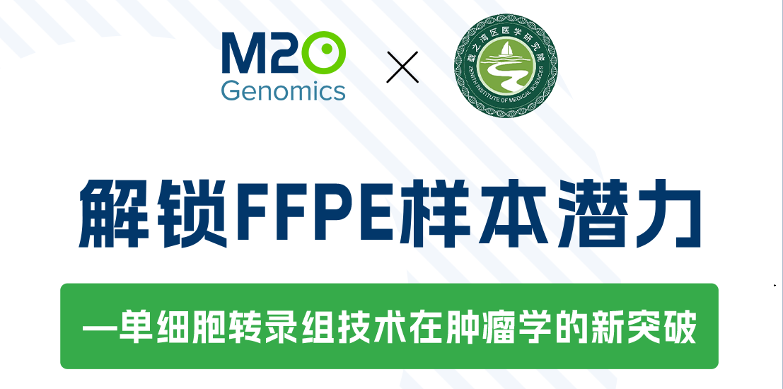 解锁FFPE样本潜力——单细胞转录组技术在肿瘤学的新突破