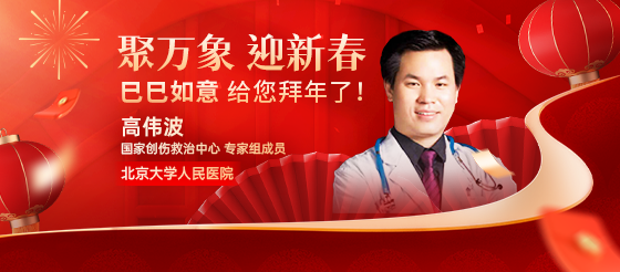 北京大學人民醫院國家創傷救治中心專家組成員高偉波老師給您<font color="red">拜年</font>了！