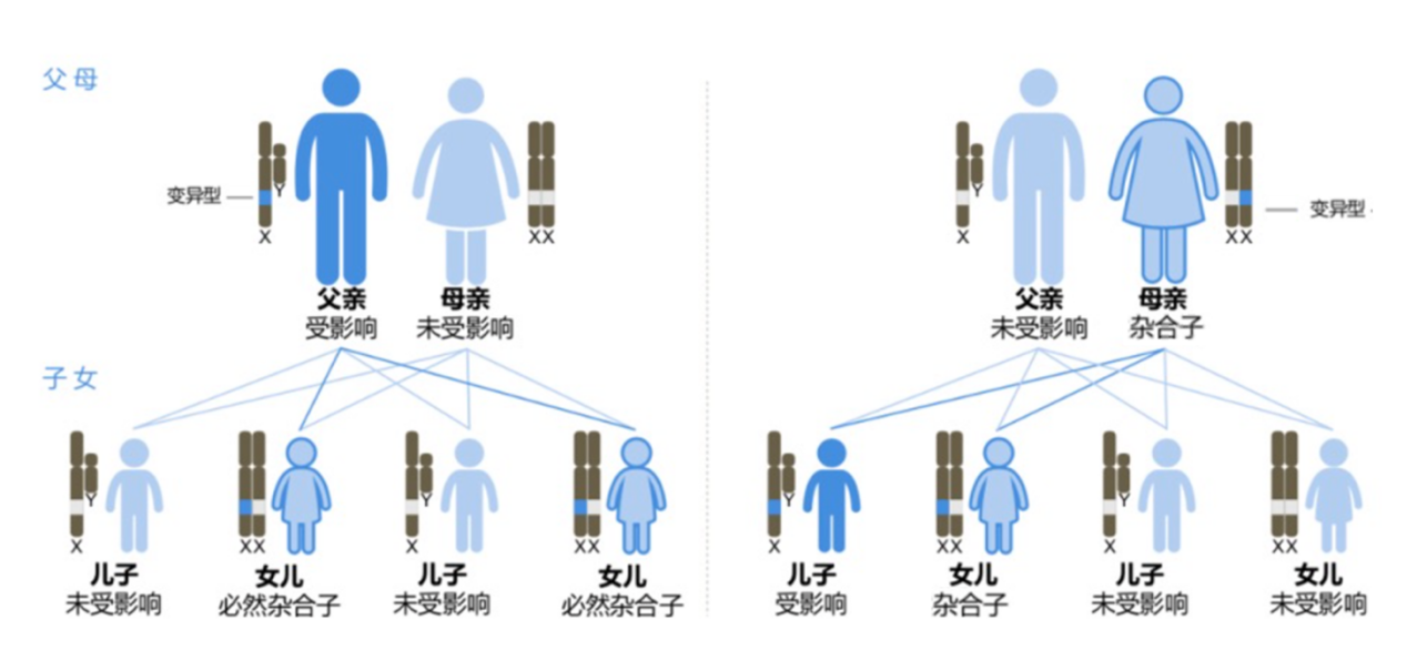 干血紙片法（DBS）—實現(xiàn)快速找出法布雷病