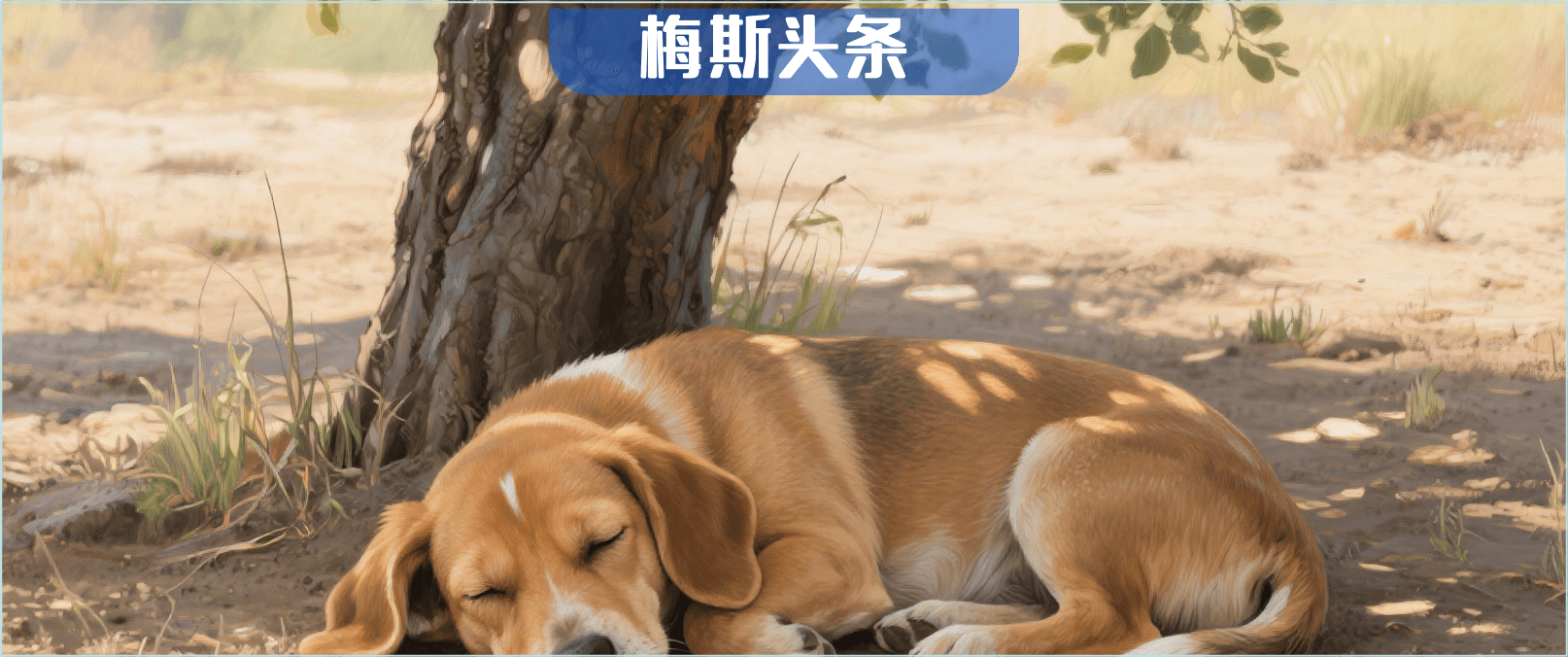 超一半人都缺！上海交大團(tuán)隊發(fā)現(xiàn)：補(bǔ)充維生素D不僅肌肉量增加11%，且癡呆風(fēng)險下降46.8%